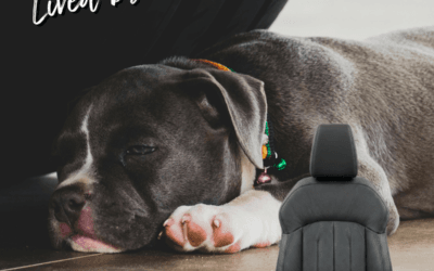 Made for Life – The Architecture of the Changan CS75 Pro Interior